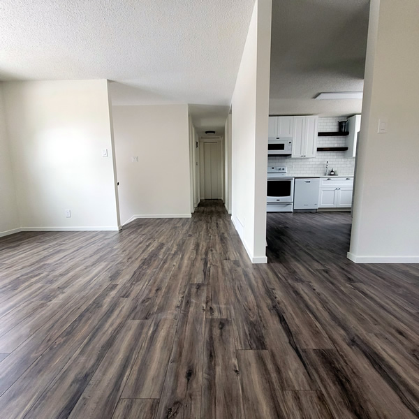 new cabinets